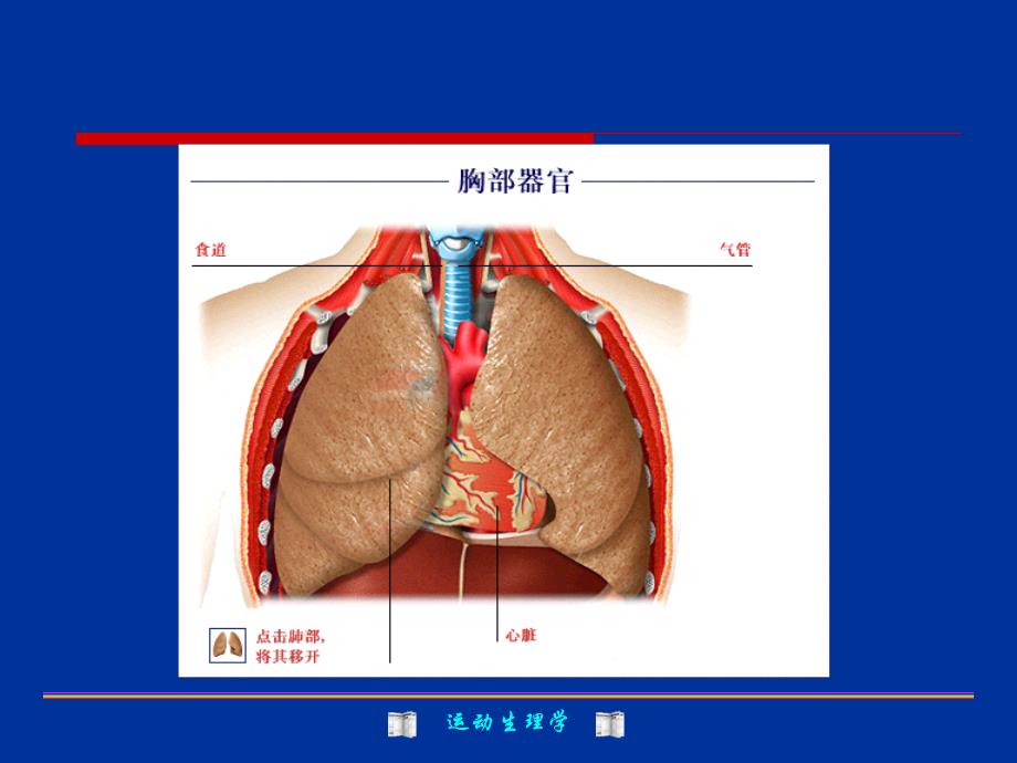 分压差换气方向 分压高→分压低气的的结果_第2页