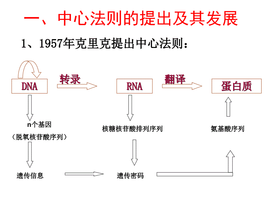 第二节基因决定生物性状.ppt_第3页