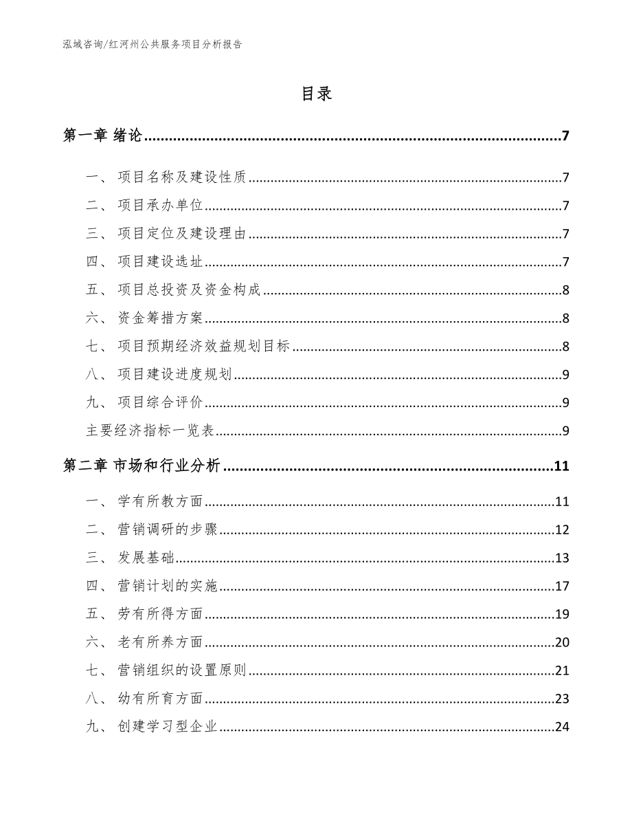 红河州公共服务项目分析报告_模板范本_第1页