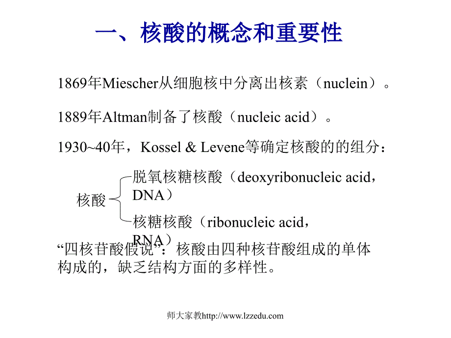 第二章核酸化学_第2页