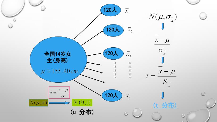 医学教学课件：第三节 均数假设检验的基本方法（一）_第4页