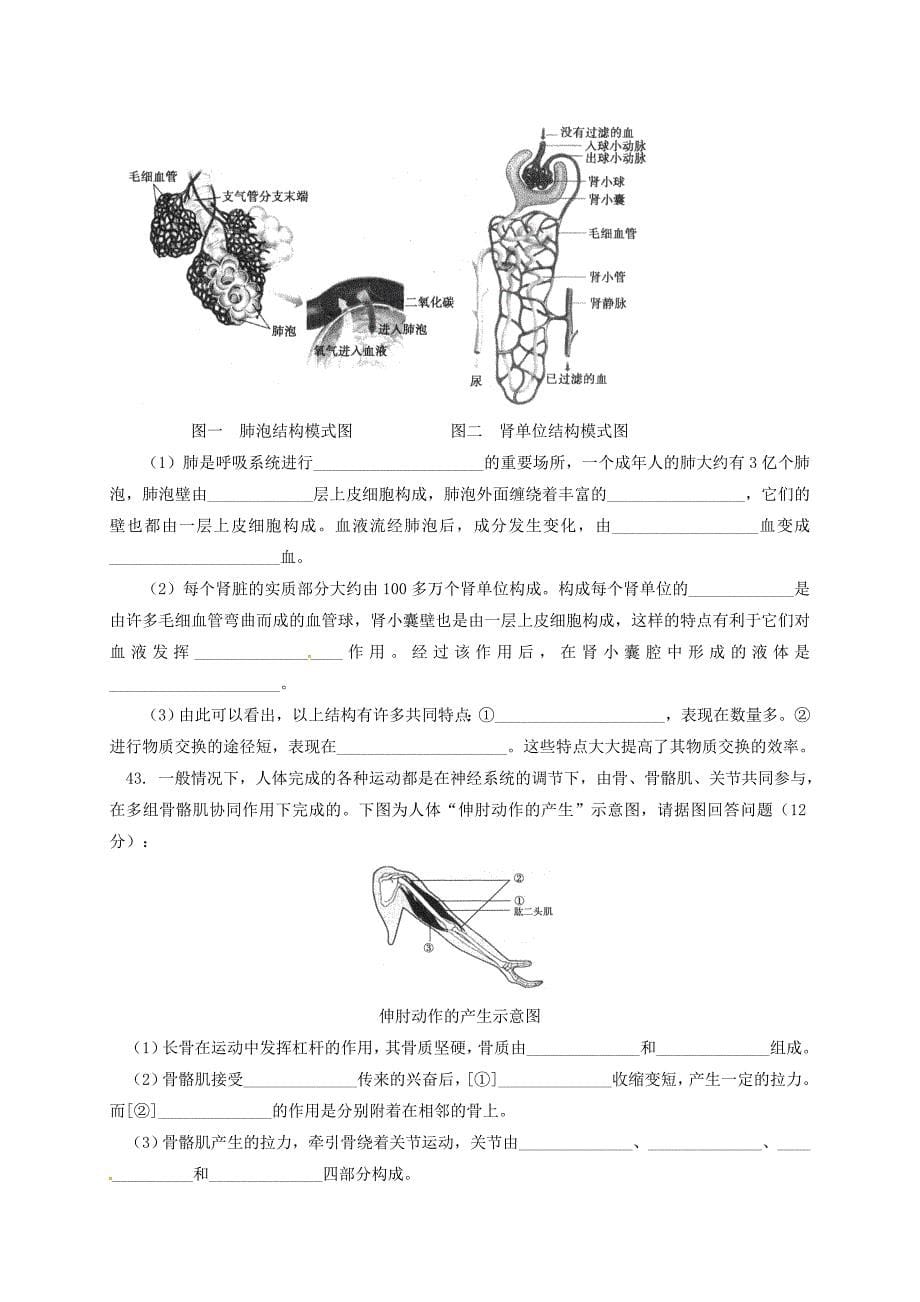 北京市西城区（南区）2012-2013学年七年级生物下学期期末质量检测试题 新人教版_第5页