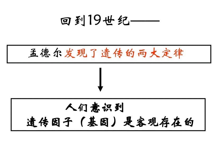 基因在染色体上ppt课用_第5页