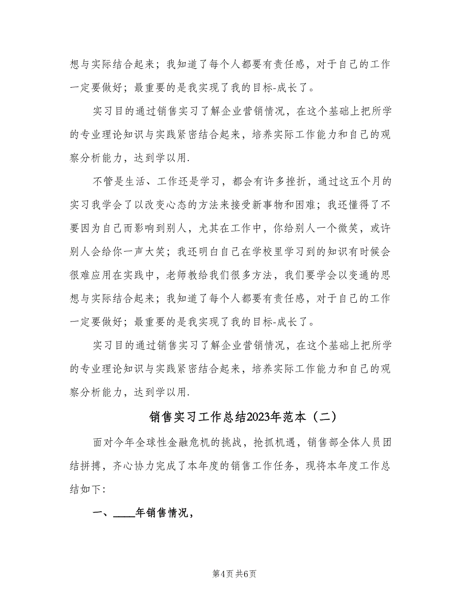 销售实习工作总结2023年范本（二篇）.doc_第4页