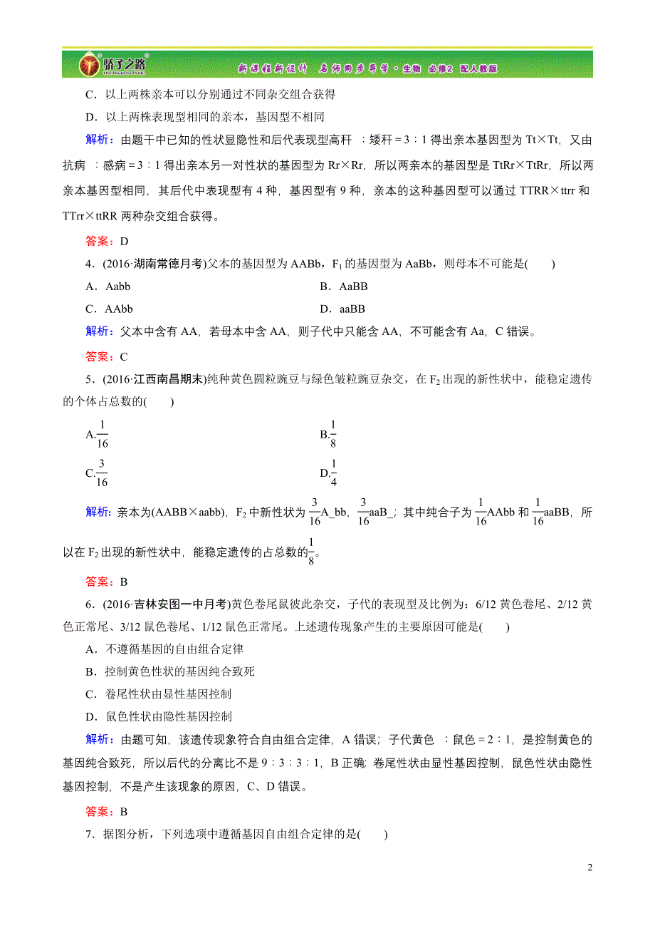 孟德尔豌豆杂交实验二习题.doc_第2页