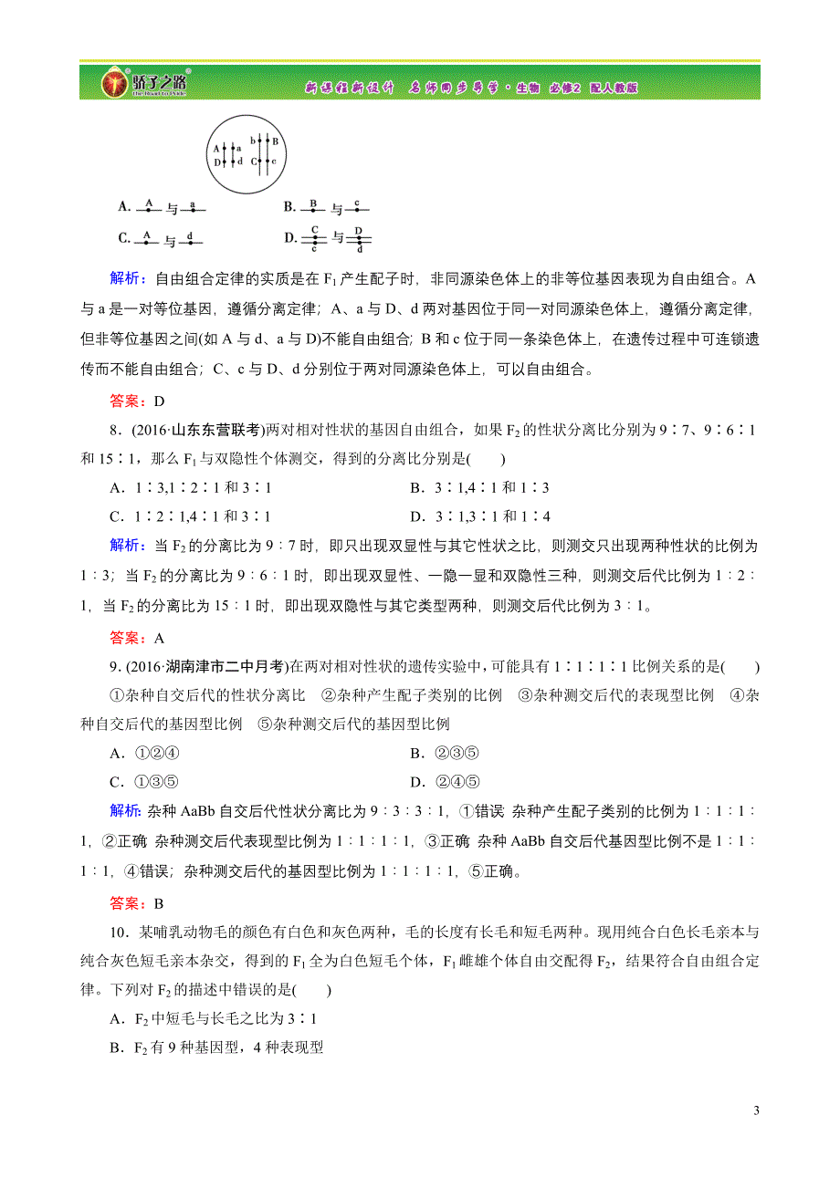 孟德尔豌豆杂交实验二习题.doc_第3页