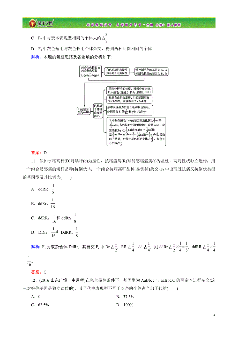 孟德尔豌豆杂交实验二习题.doc_第4页