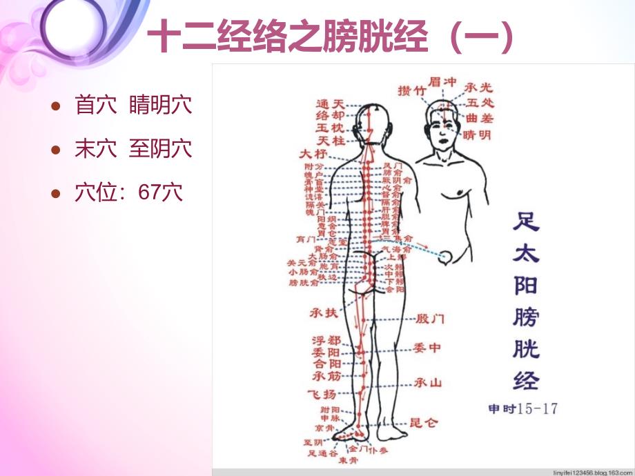 十二经络及任督二脉.ppt_第3页