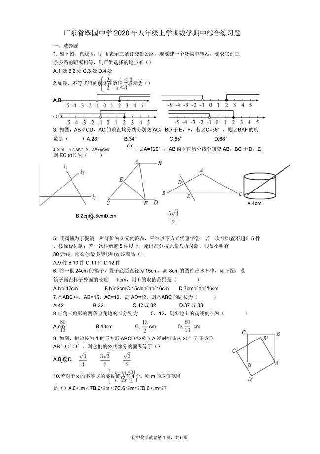 广东省翠园中学2020八年级上学期数学期中综合练习题.doc