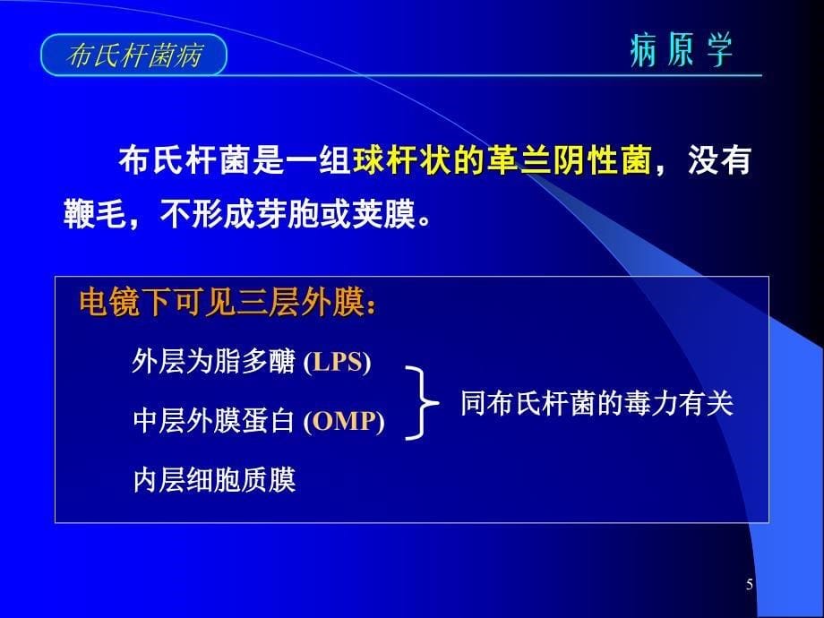 布氏杆菌病讲座课件_第5页