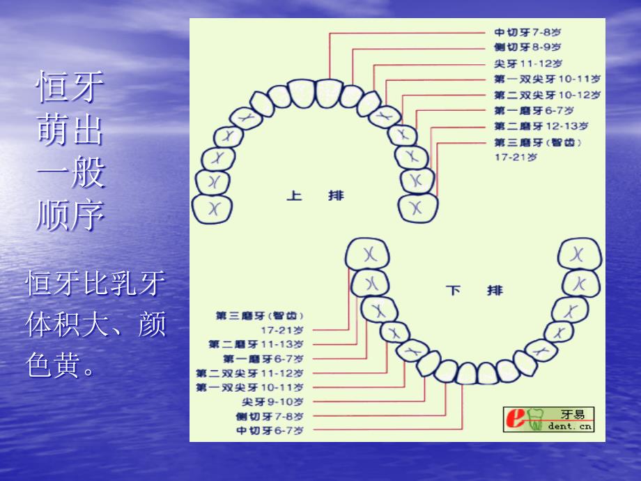 儿童口腔知识宣传教育_第4页