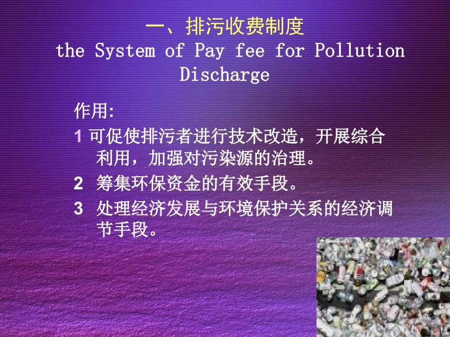 环境法律制度BasicsystemofEnvironmentallaw_第4页