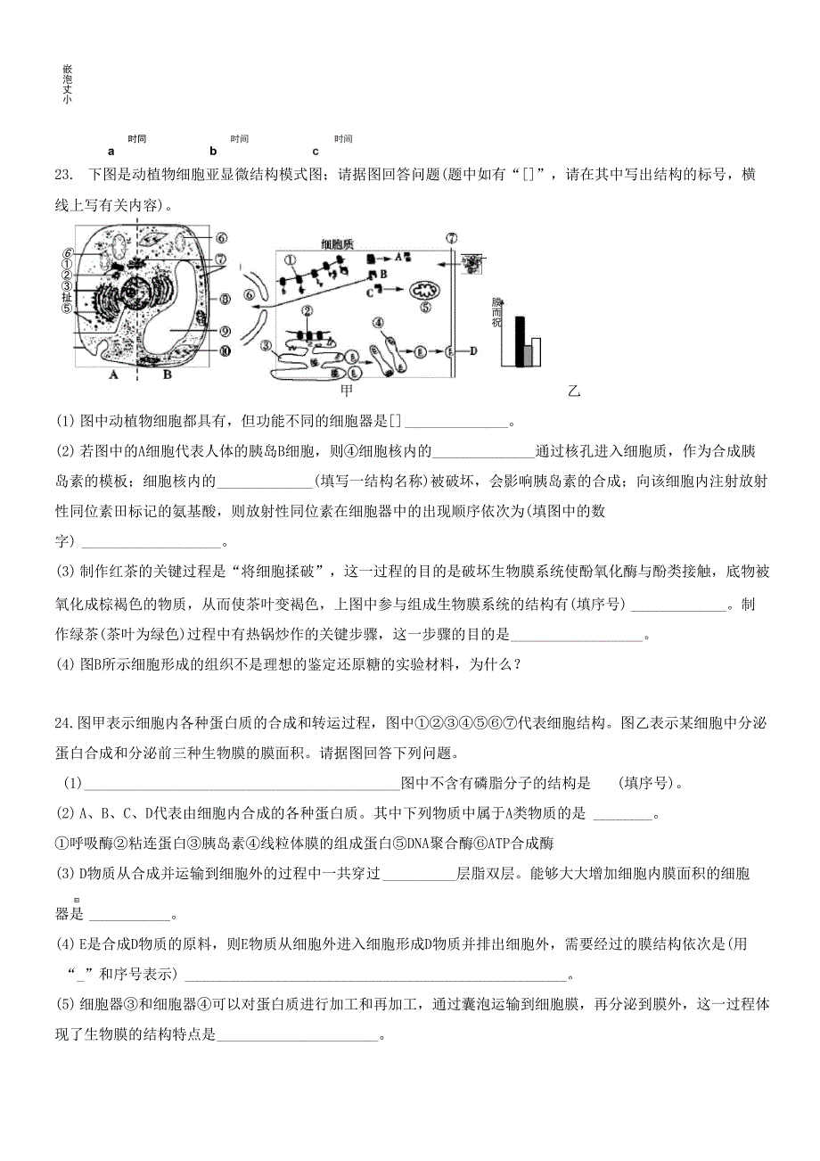 细胞的结构、物质出入细胞的方式_第4页