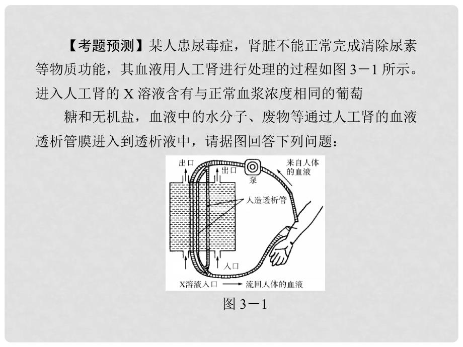 高考生物一轮复习 第3章 本章知识整合课件 必修1_第4页