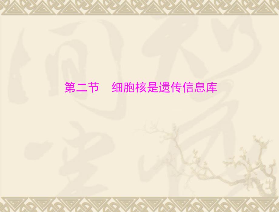 生物2.2.2细胞核是遗传信息库课件人教版七年级上_第1页