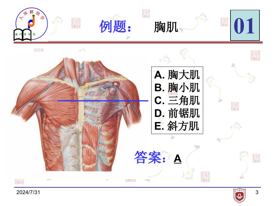 局解实验考试_第2页