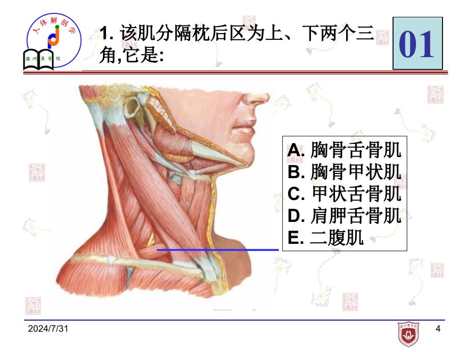 局解实验考试_第3页