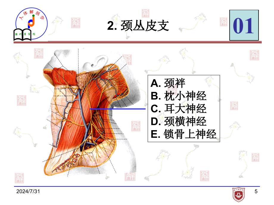 局解实验考试_第4页