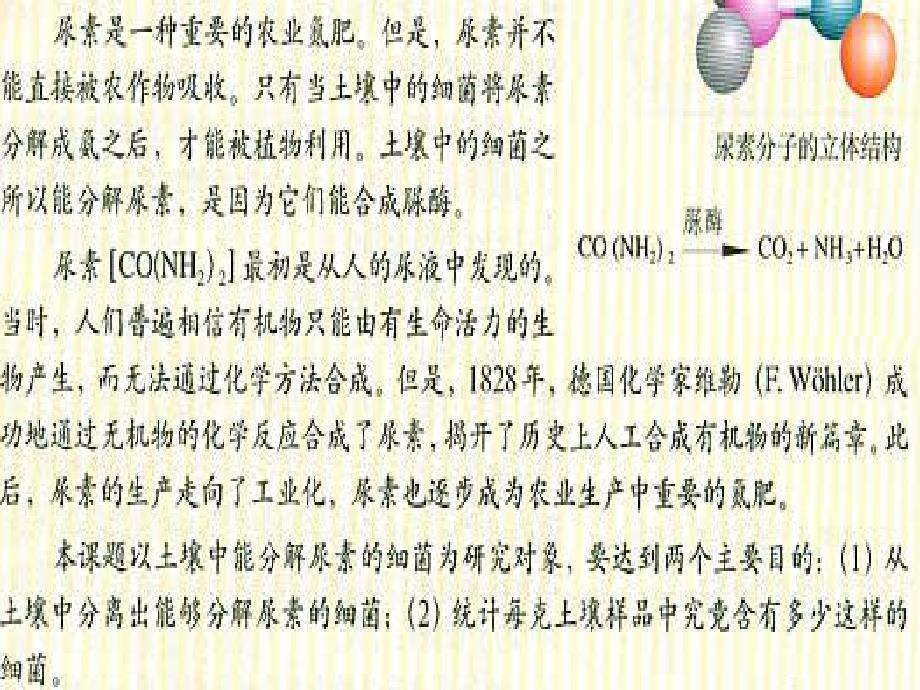 高中生物 专题2 课题2 土壤中分解尿素的细菌的分离与计数课件 新人教版选修1.ppt_第2页