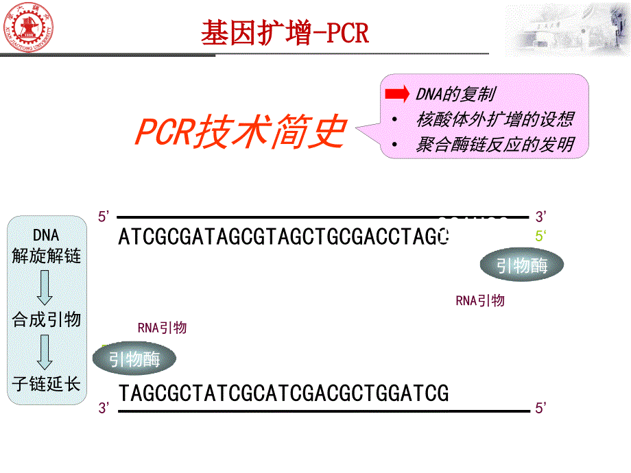 基因扩增课件_第4页