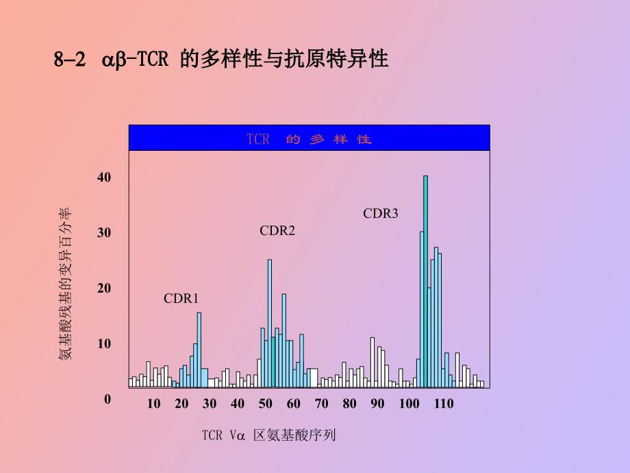 细胞免疫应答_第3页