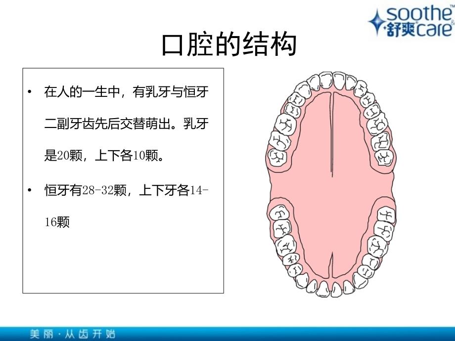 口腔健康基本知识PPT课件_第2页