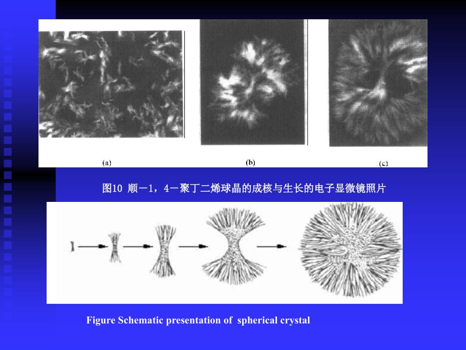 高聚物等温结晶过程课件_第4页