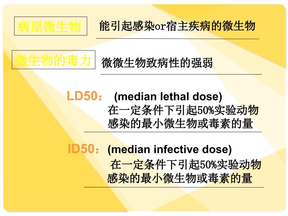 细菌感染、病毒感染_第3页