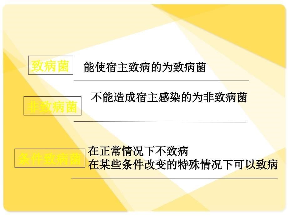 细菌感染、病毒感染_第5页