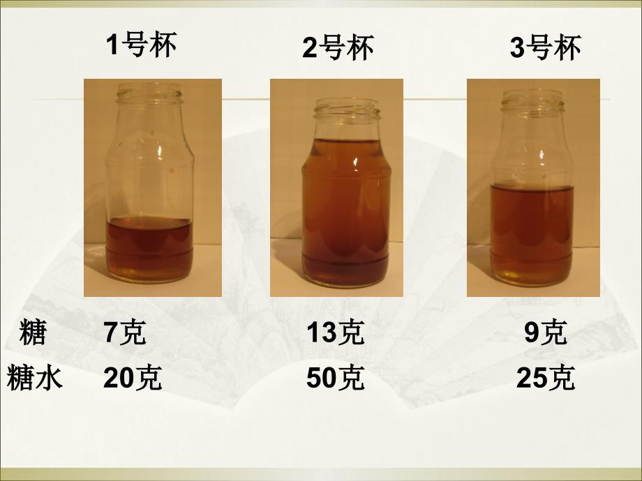 百分数的意义_第3页