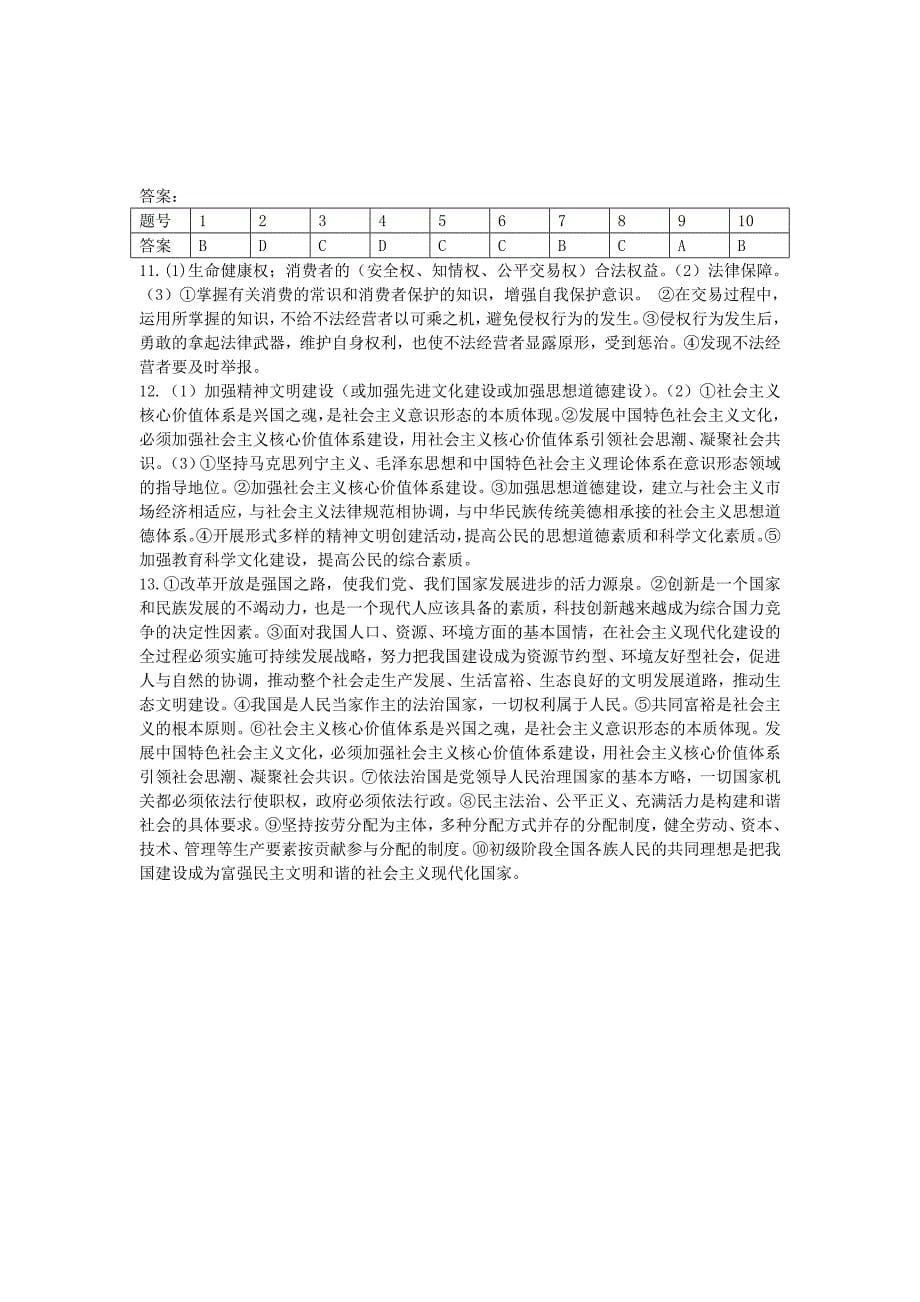 模拟政治试卷B卷_第5页