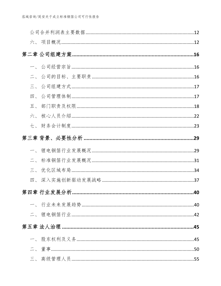 延安关于成立标准铜箔公司可行性报告（参考范文）_第4页