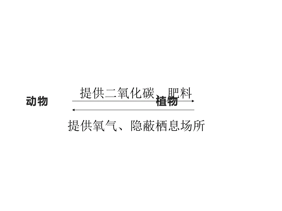 六年级科学下册课件10小池塘大世界23冀人版9张_第2页