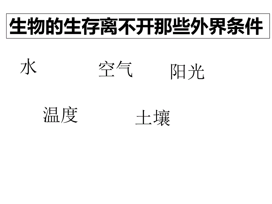 六年级科学下册课件10小池塘大世界23冀人版9张_第3页