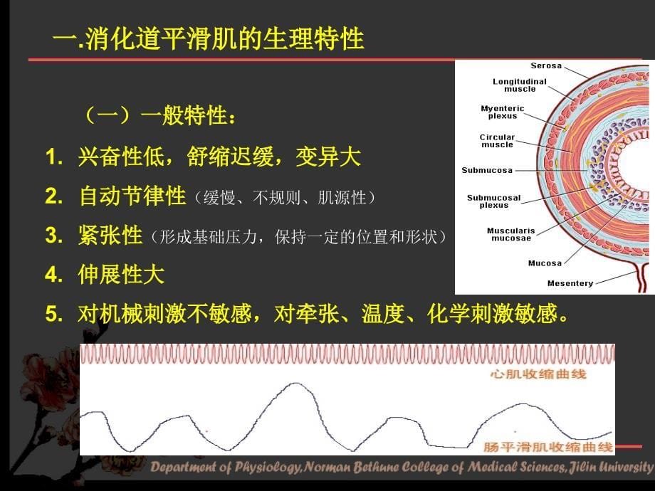 生理学课件：第六章 消化和吸收_第5页