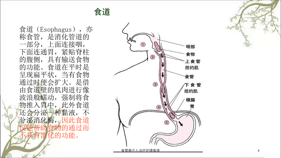 食管癌介入治疗护理查房_第4页