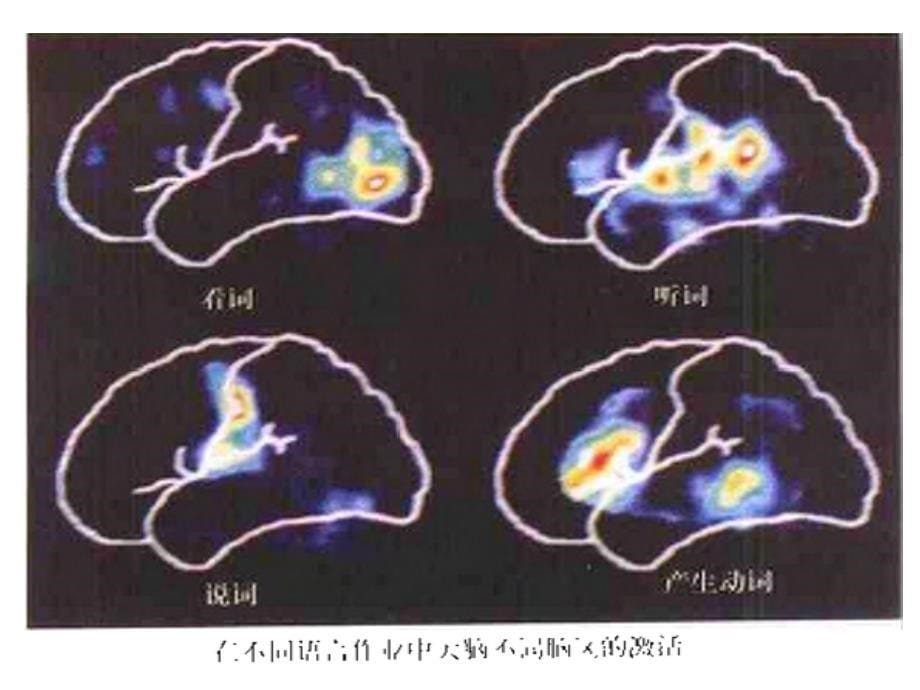 心理学研究方法第二章选题与取样_第5页