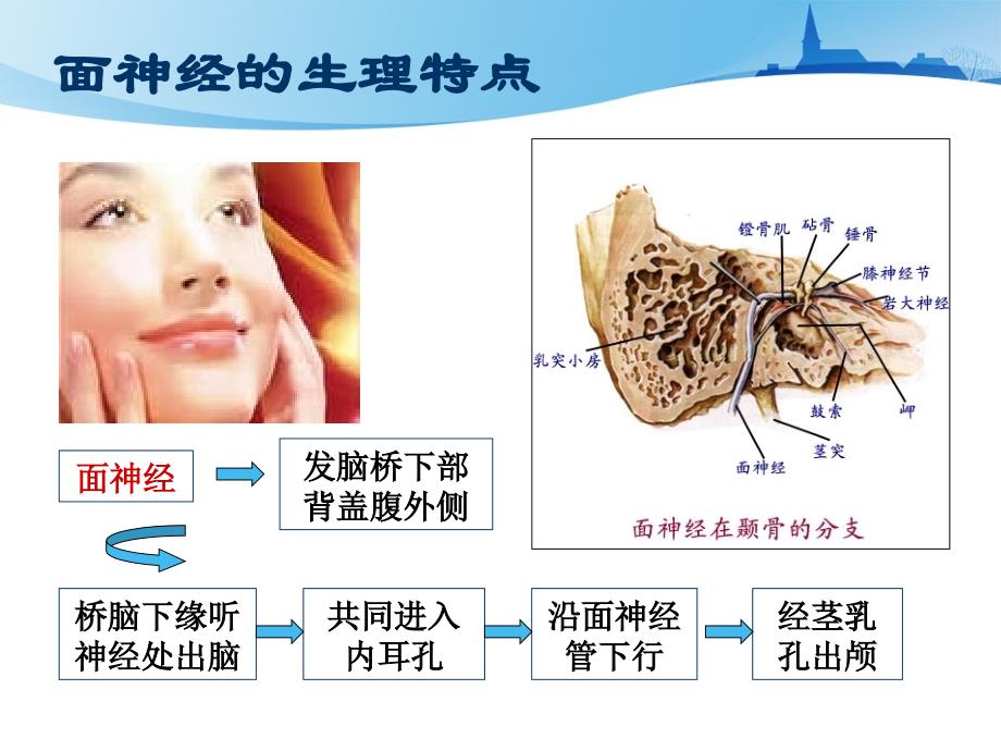 面神经炎中医治疗_第3页