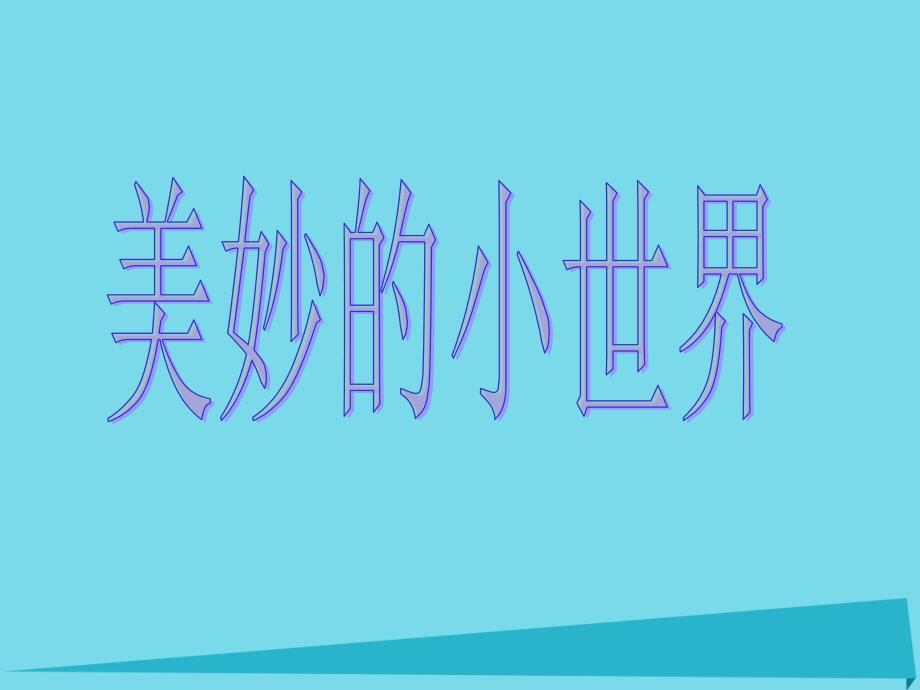 一年级上册美术课件-第1课美妙的小世界1∣岭南版(共27张PPT)_第1页