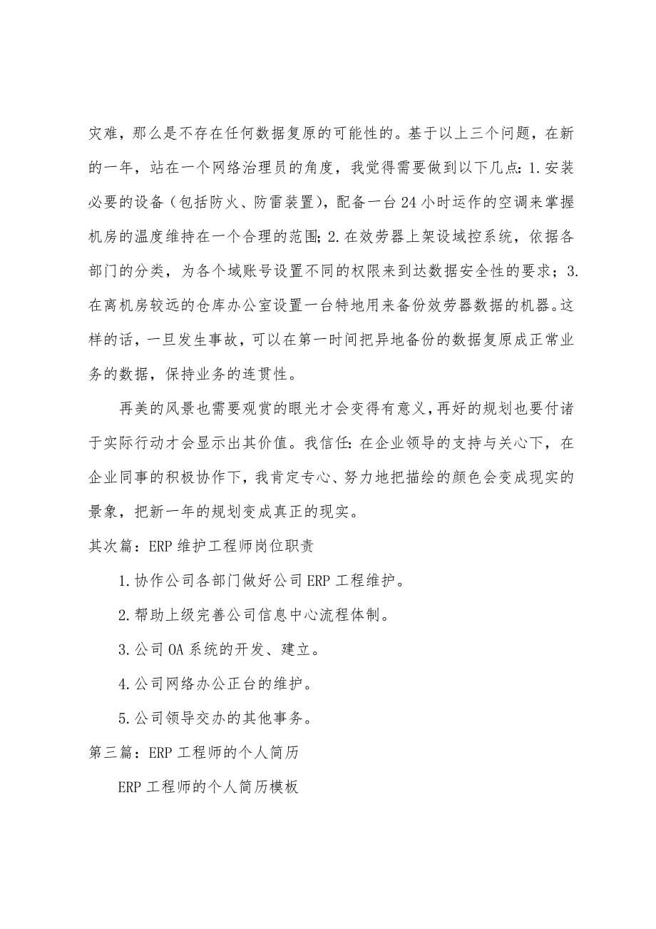 2023年ERP工程师工作计划.docx_第5页