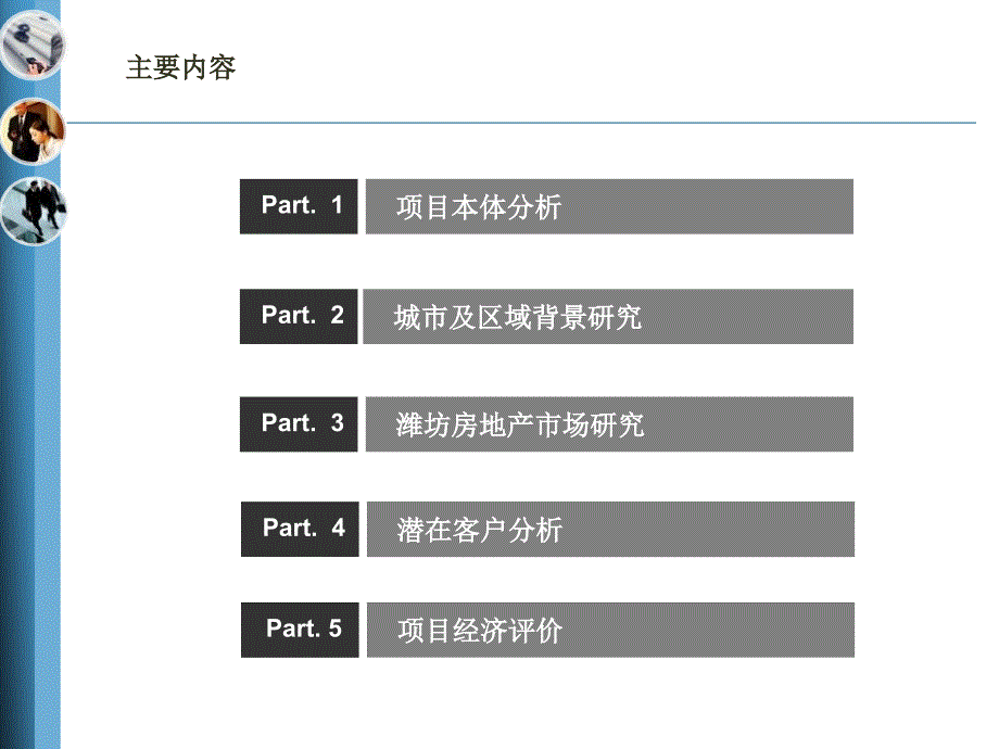 山东潍坊博纳庄园项目商业计划书_第3页