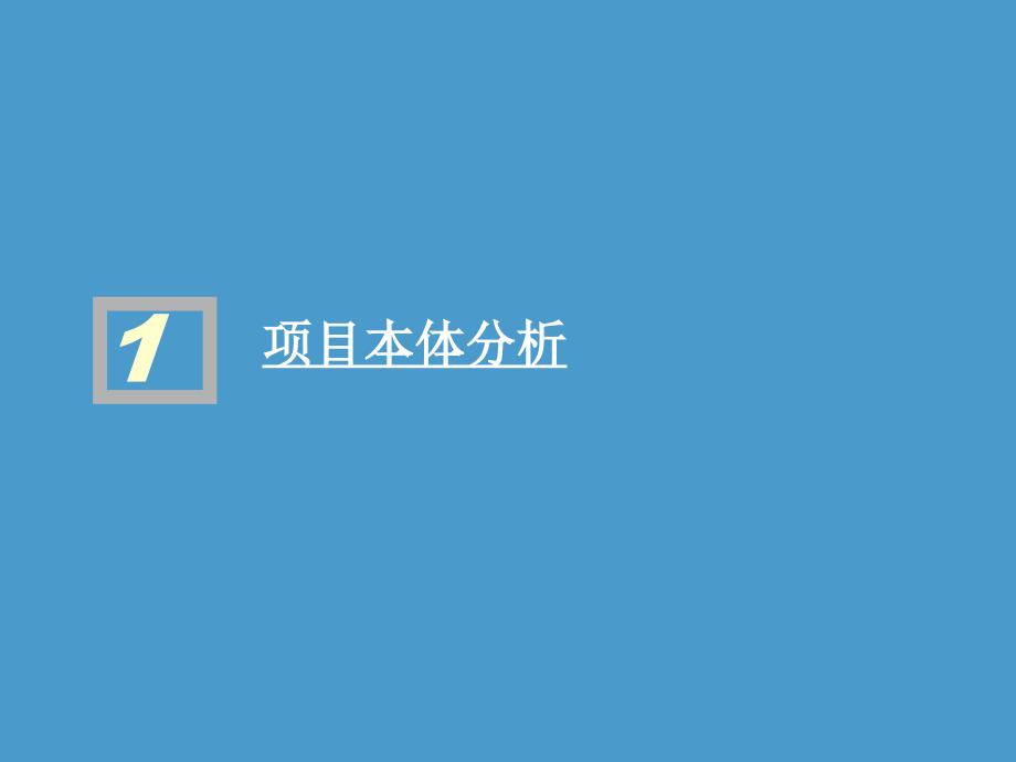 山东潍坊博纳庄园项目商业计划书_第4页