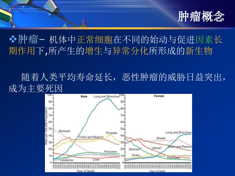 常见体表肿瘤与肿块_第3页