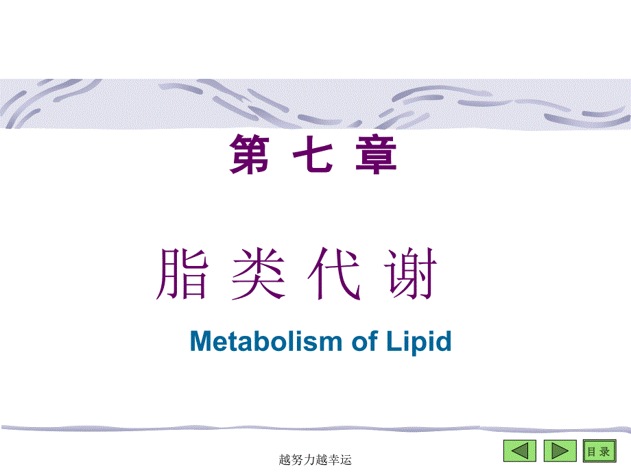 脂类代谢生物化学课件_第1页