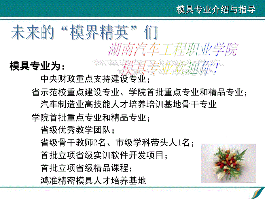 模具专业简介文档资料_第2页