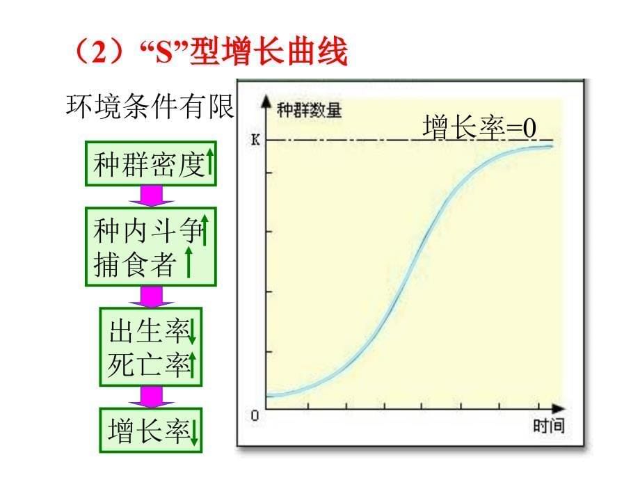 LXF种群数量的变化_第5页