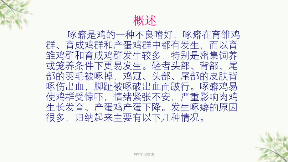 鸡啄癖ppt课件_第1页