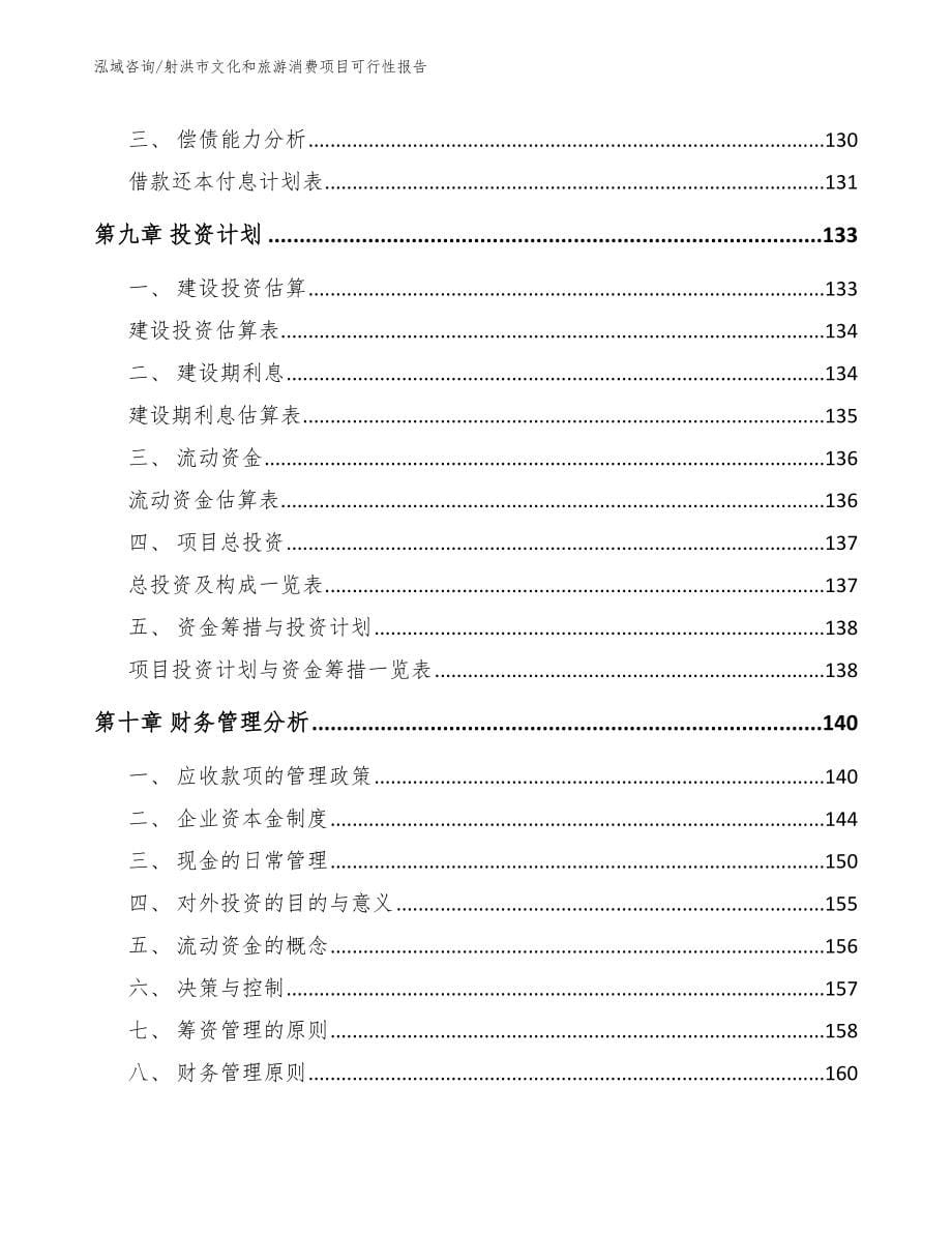 射洪市文化和旅游消费项目可行性报告_第5页