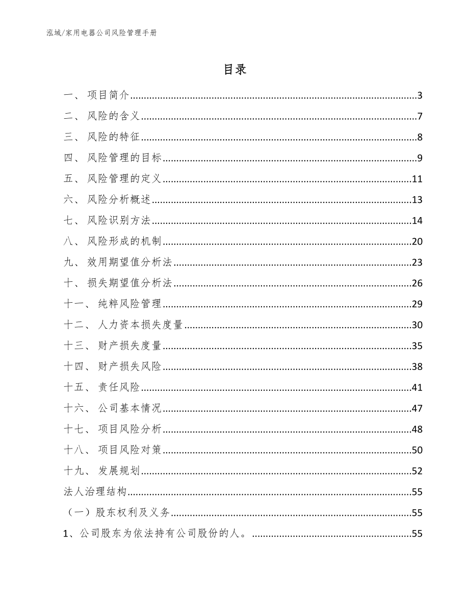 家用电器公司风险管理手册（范文）_第2页