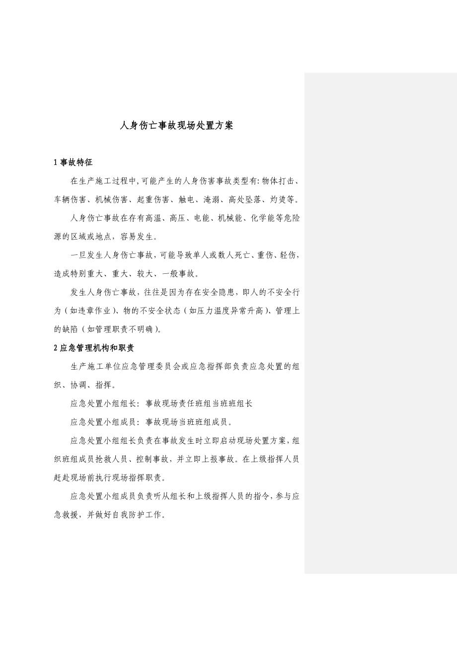 现场应急处置方案.doc_第1页